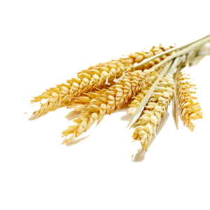 Гидроксипропилтримониум модифицированные протеины пшеницы (Protein HPTW)