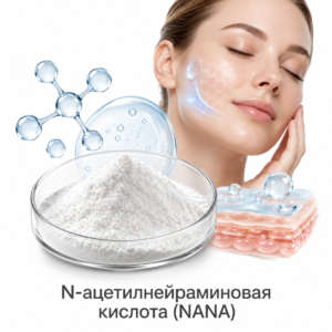 Сиаловая кислота (N-ацетилнейраминовая кислота)